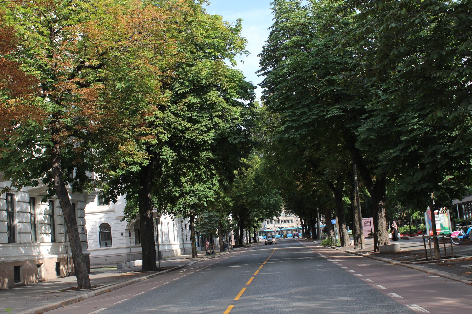 Frognerveien nordover — nabolaget lokalet lever av.